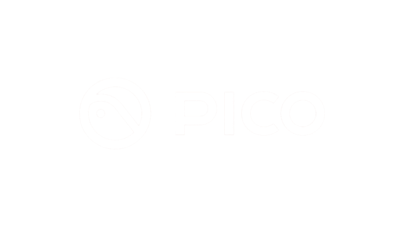 PICO XR